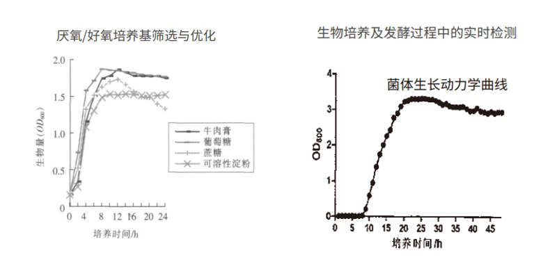 過程安全，結(jié)果精準(zhǔn)