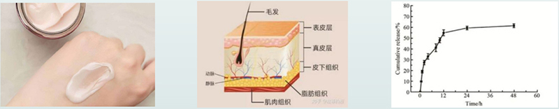 藥物體外透皮釋放試驗(yàn)過程
