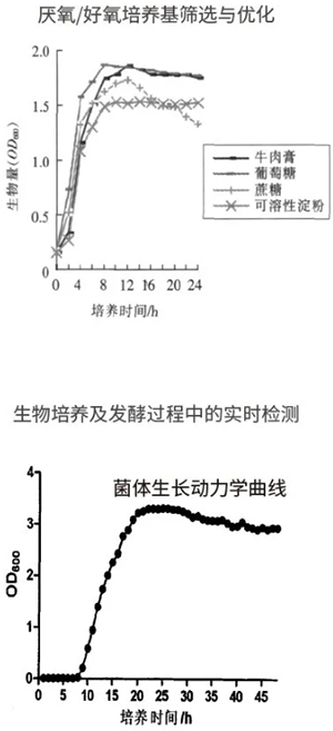 過程安全，結(jié)果精準(zhǔn)
